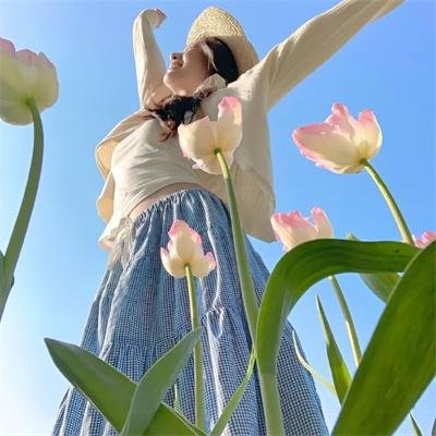 续 刀剑乱舞-花丸-